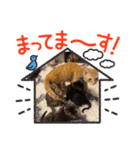 早渕家2（個別スタンプ：7）