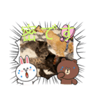 早渕家2（個別スタンプ：8）