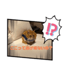 早渕家2（個別スタンプ：10）