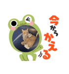 早渕家2（個別スタンプ：13）