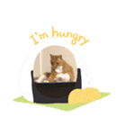 早渕家2（個別スタンプ：14）