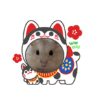 ほっこりハムスター♡日常会話④（個別スタンプ：1）