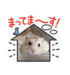 ほっこりハムスター♡日常会話④（個別スタンプ：3）