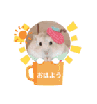 ほっこりハムスター♡日常会話④（個別スタンプ：6）