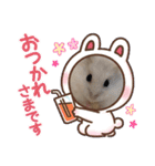 ほっこりハムスター♡日常会話④（個別スタンプ：7）