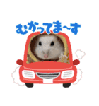ほっこりハムスター♡日常会話④（個別スタンプ：11）