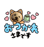 kotechin（個別スタンプ：4）