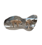2匹の虎 虎の年 スタンプ（個別スタンプ：15）