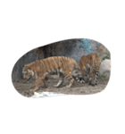 2匹の虎 虎の年 スタンプ（個別スタンプ：26）