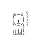クラウチング犬（個別スタンプ：9）