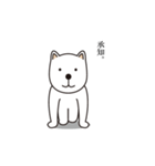 クラウチング犬（個別スタンプ：21）