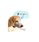 にじくん_スタンプ（個別スタンプ：3）