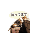 にじくん_スタンプ（個別スタンプ：4）