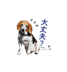 にじくん_スタンプ（個別スタンプ：5）