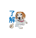 にじくん_スタンプ（個別スタンプ：8）