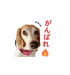 にじくん_スタンプ（個別スタンプ：12）