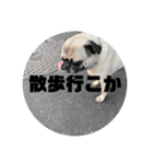KYNKゲーム会社公式（個別スタンプ：8）
