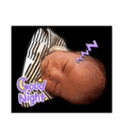 蓮斗のLINEスタンプ（個別スタンプ：1）