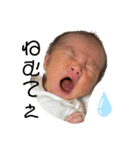蓮斗のLINEスタンプ（個別スタンプ：3）