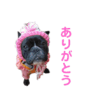 きのこでございまーす（個別スタンプ：5）