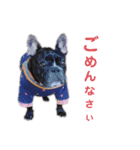 きのこでございまーす（個別スタンプ：6）
