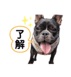 きのこでございまーす（個別スタンプ：7）