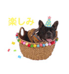 きのこでございまーす（個別スタンプ：9）