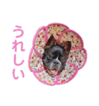 きのこでございまーす（個別スタンプ：10）