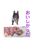 きのこでございまーす（個別スタンプ：11）