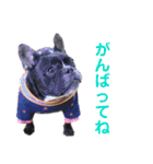 きのこでございまーす（個別スタンプ：13）