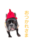 きのこでございまーす（個別スタンプ：14）