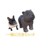 きのこでございまーす（個別スタンプ：17）