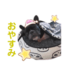 きのこでございまーす（個別スタンプ：24）
