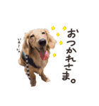 胴長短足にことめる。（個別スタンプ：2）