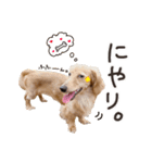 胴長短足にことめる。（個別スタンプ：7）
