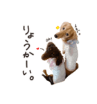 胴長短足にことめる。（個別スタンプ：12）
