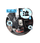 しんごの部屋①（個別スタンプ：8）