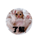 ももすみ（個別スタンプ：3）
