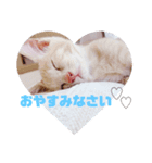 ももすみ（個別スタンプ：6）