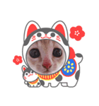ももすみ（個別スタンプ：8）