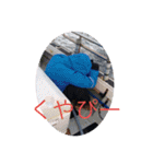 大紀トンジギクラブ2（個別スタンプ：5）