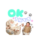みやいろ（個別スタンプ：4）