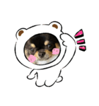 かえで(♡ˊᵕˋ♡)（個別スタンプ：5）