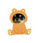 かえで(♡ˊᵕˋ♡)（個別スタンプ：7）