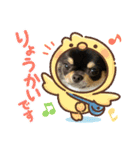 かえで(♡ˊᵕˋ♡)（個別スタンプ：9）