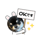 かえで(♡ˊᵕˋ♡)（個別スタンプ：15）