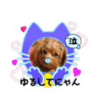 ポメプーのシフォンちゃん4（個別スタンプ：11）