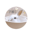 michochii 1（個別スタンプ：2）