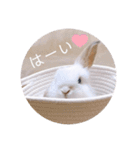 michochii 1（個別スタンプ：7）