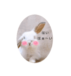 michochii 1（個別スタンプ：9）
